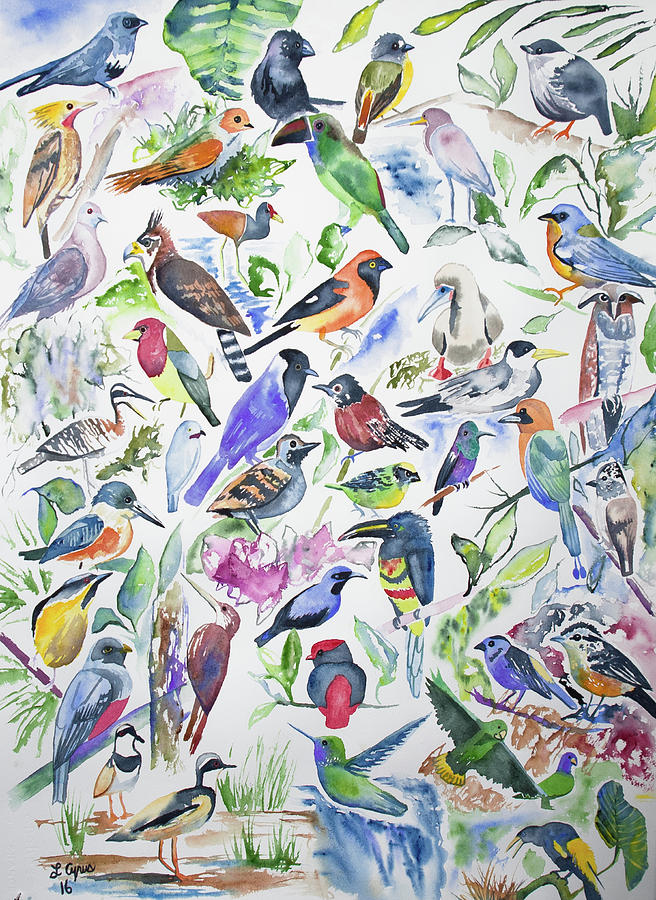Watercolor - Birds of Ecuador Painting by Cascade Colors