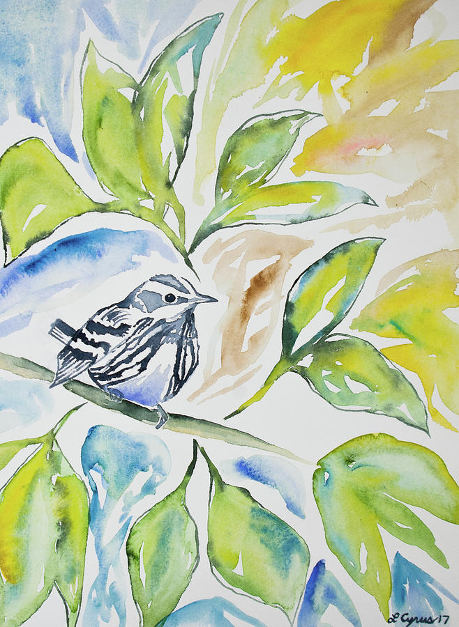 Watercolor - Black-and-white Warbler Painting by Cascade Colors