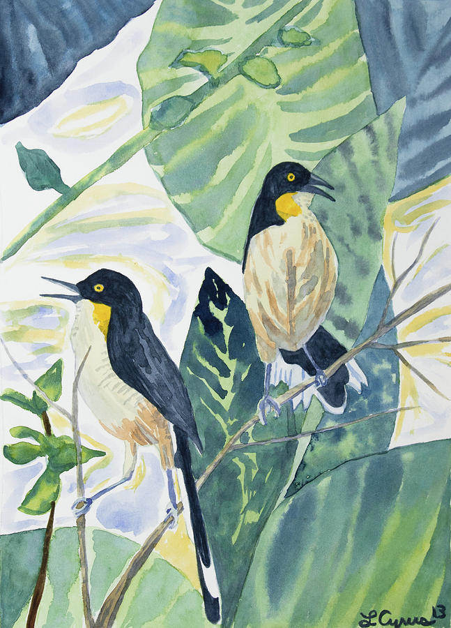 Watercolor - Black-capped Donacobius Painting by Cascade Colors