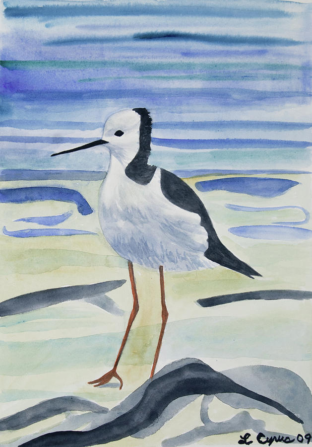 Watercolor - Black-necked Stilt Painting by Cascade Colors