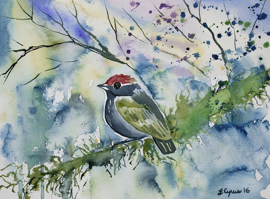 Watercolor - Chestnut-crowned Gnateater Painting by Cascade Colors