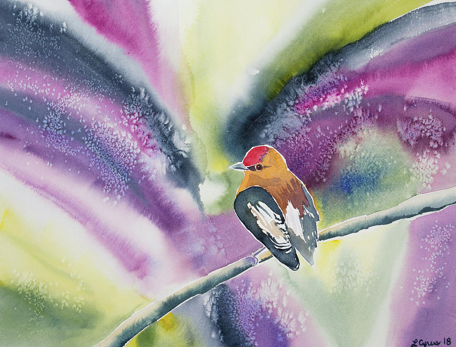 Watercolor - Club-winged Manakin Painting by Cascade Colors