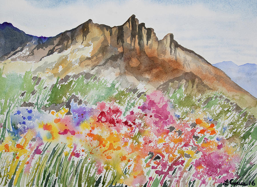 Watercolor - Colorado Rocky Mountains and Alpine Wildflowers Painting by Cascade Colors