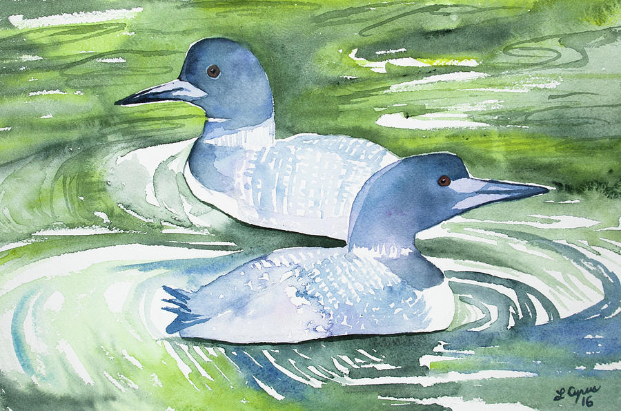 Watercolor - Common Loon Pair Painting by Cascade Colors
