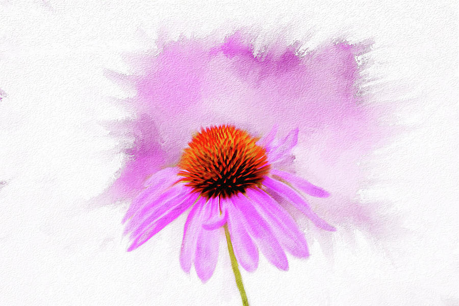 Watercolor Cone Flower Mixed Media by Mary Timman