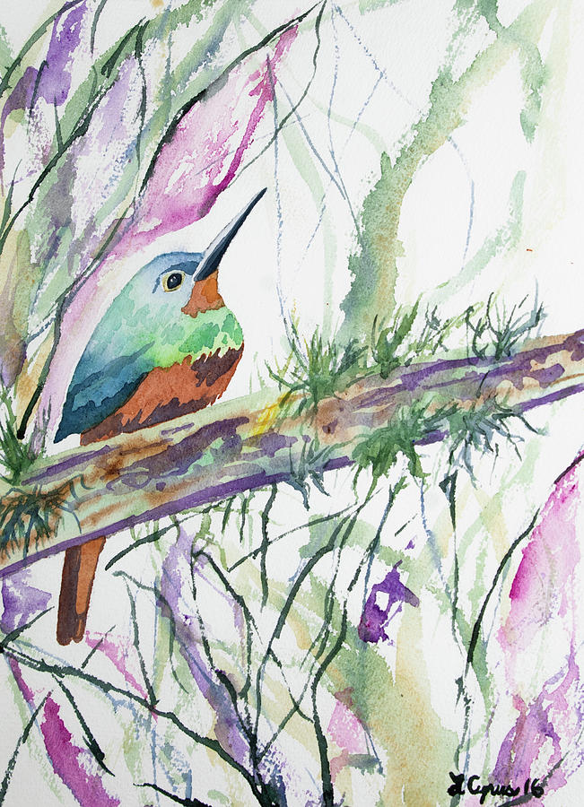 Watercolor - Coppery-chested Jacamar Painting by Cascade Colors