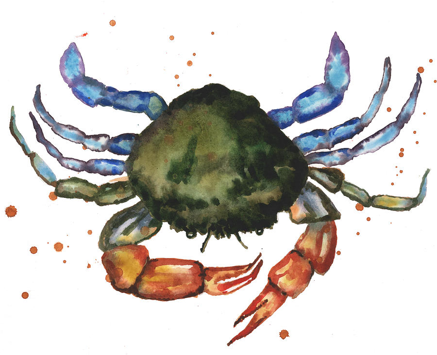 Crab Painting - Watercolor Crab Painting by Alison Fennell