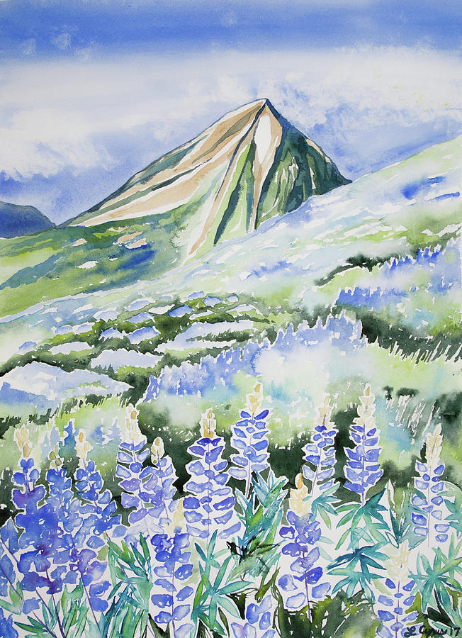 Watercolor - Crested Butte Lupine Landscape Painting by Cascade Colors