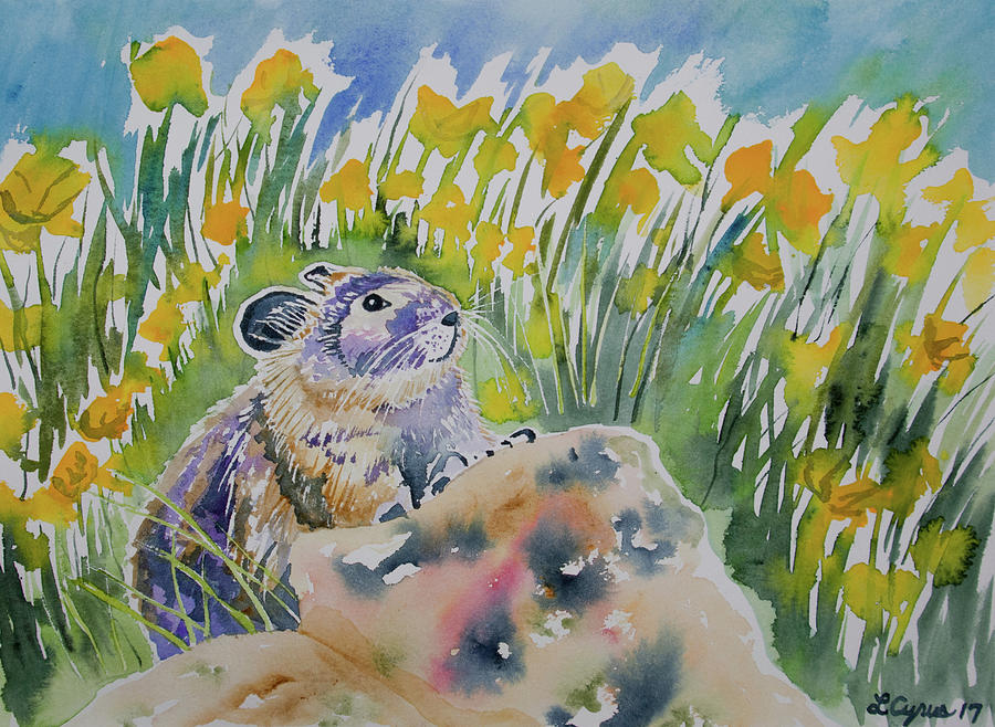 Watercolor - Curious Pika Painting by Cascade Colors