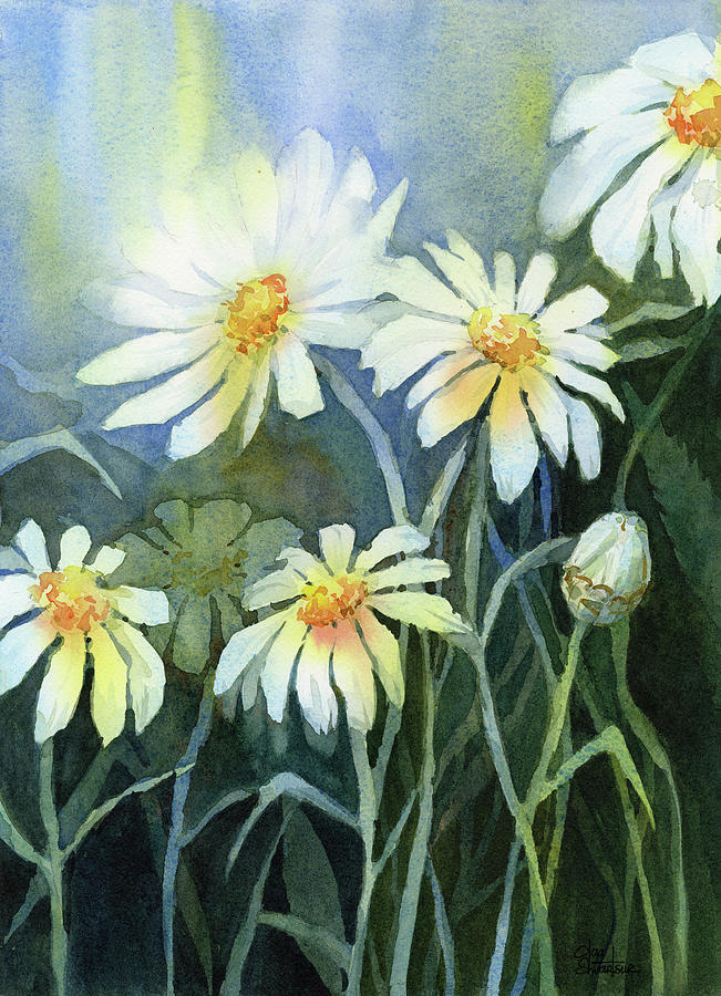 Flower Painting - Daisies Flowers  by Olga Shvartsur