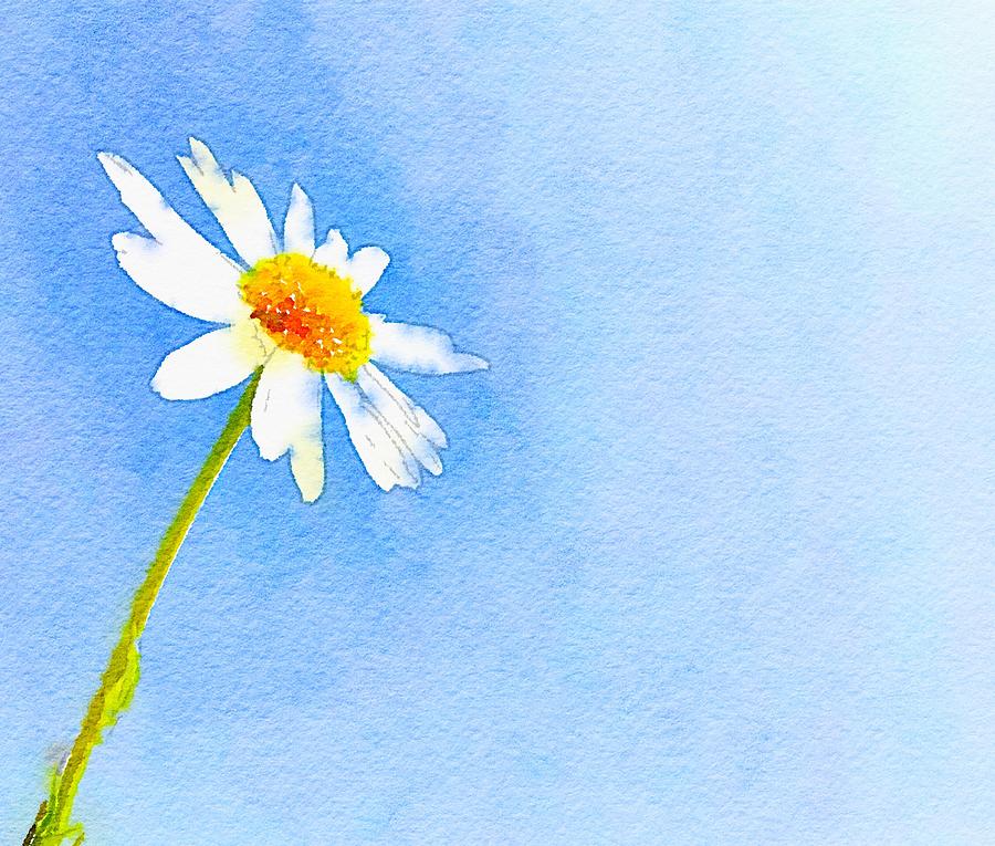 Watercolor Daisy Painting by Marianna Mills