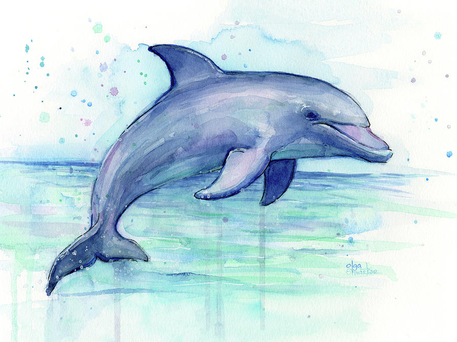 Dolphin Painting - Watercolor Dolphin Painting - Facing Right by Olga Shvartsur