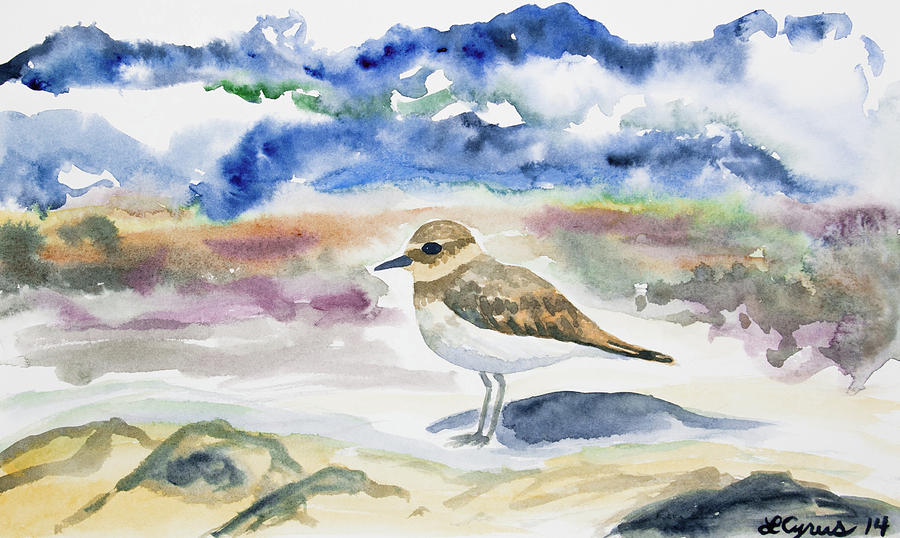 Nature Painting - Watercolor - Double-banded Plover on the Beach by Cascade Colors
