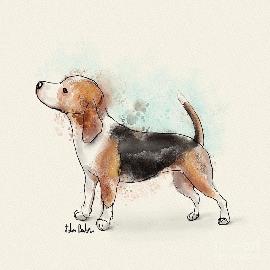 Watercolor Drawing of a Cute Beagle Digital Art by Idan Badishi Pixels