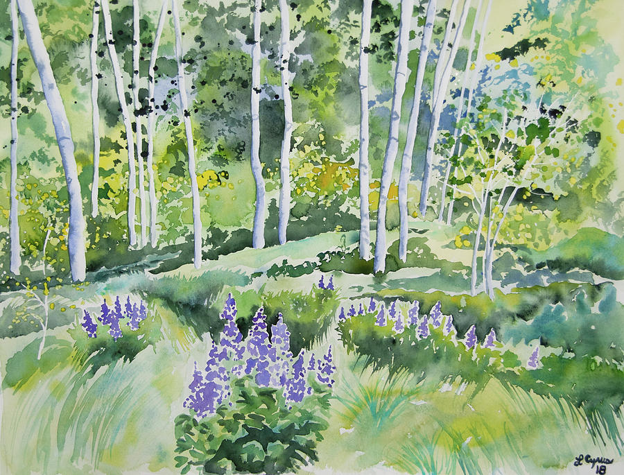 Watercolor - Early Summer Aspen and Lupine Painting by Cascade Colors