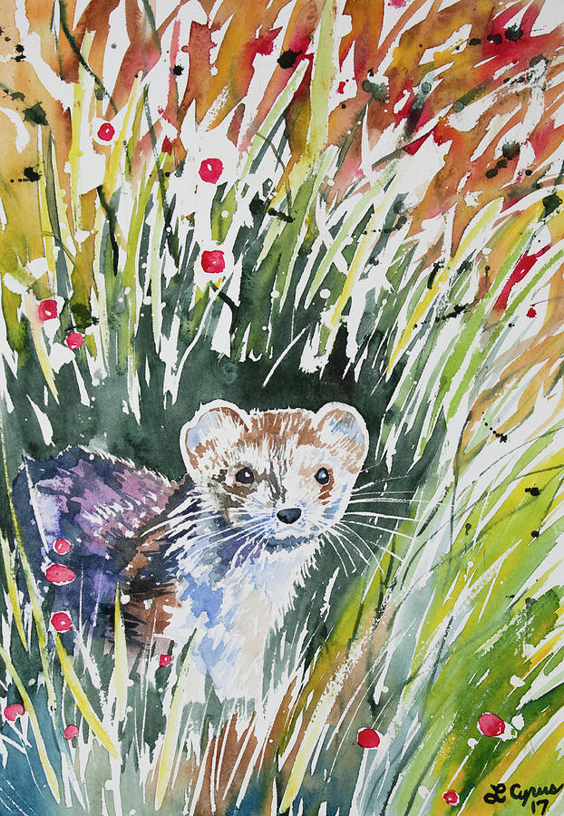 Watercolor - Ermine with Autumn Foliage Painting by Cascade Colors