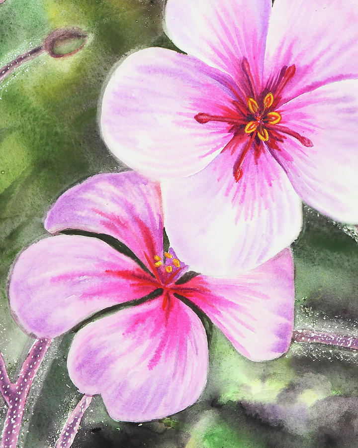 Watercolor Flowers Close Up Pink And Purple Painting