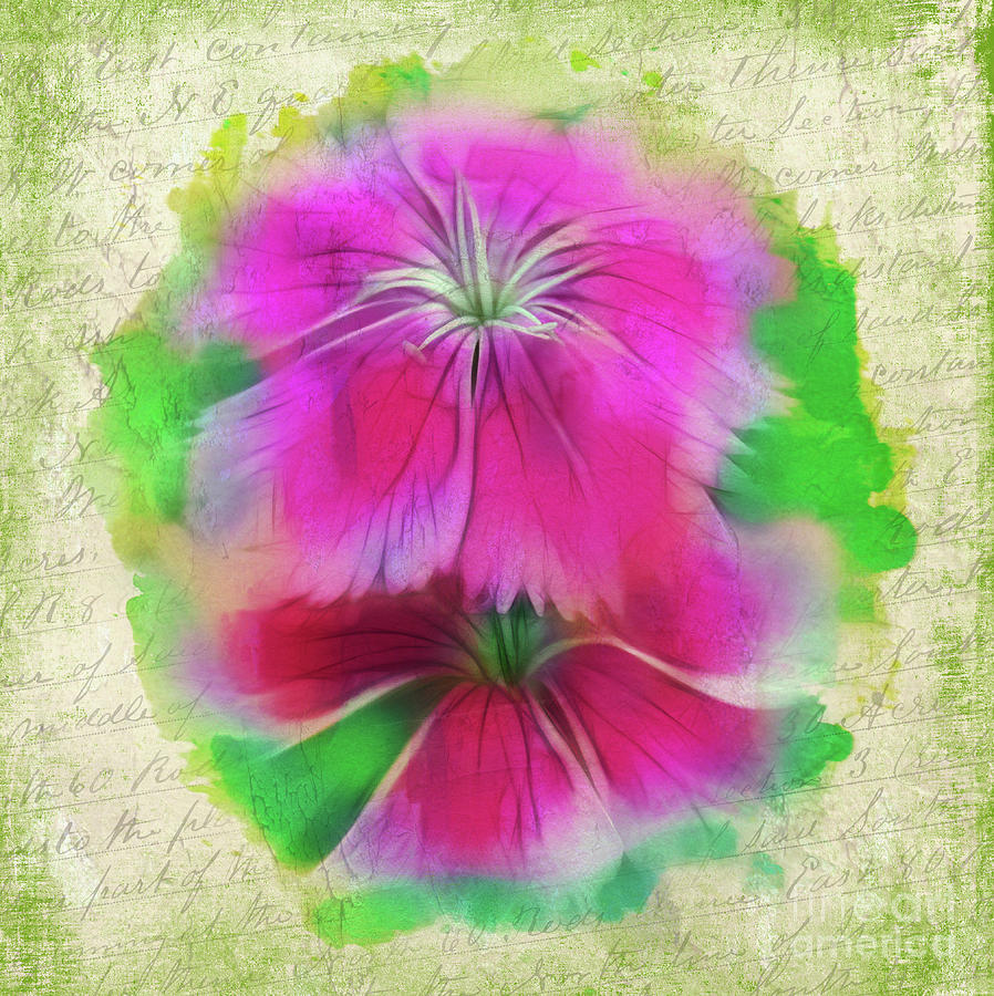 Watercolor Flowers Photograph by Judi Bagwell