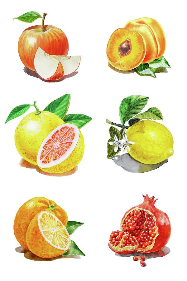 Watercolor Food Illustration Fruits Painting by Irina Sztukowski