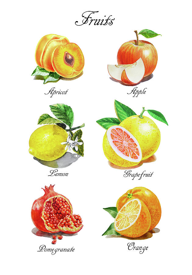 Watercolor Fruit Illustration Collection I Painting