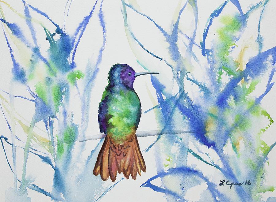 Watercolor - Golden-tailed Sapphire Painting by Cascade Colors