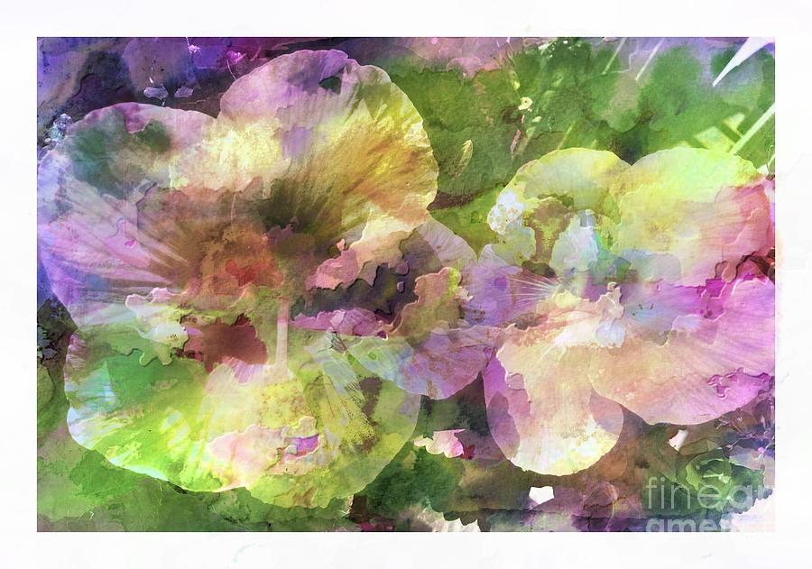 Watercolor Hibiscus Photograph by Barbara A Griffin