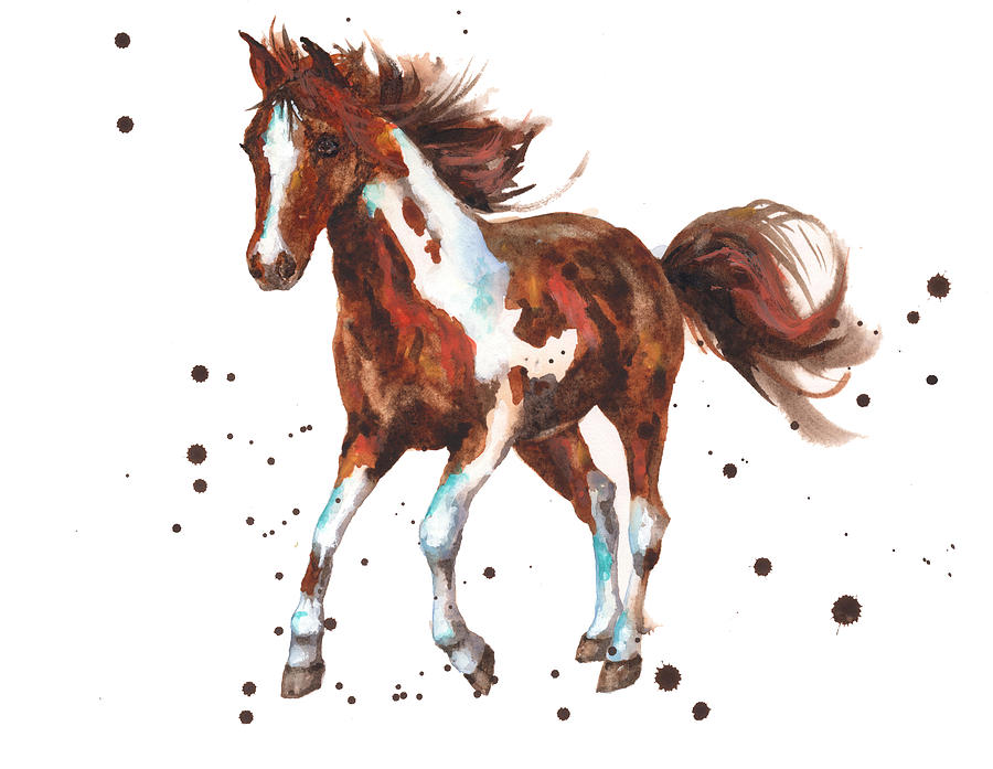 Pony Painting - Watercolor Horse painting by Alison Fennell