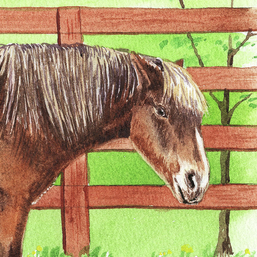 Watercolor Horse Pet Portrait Painting