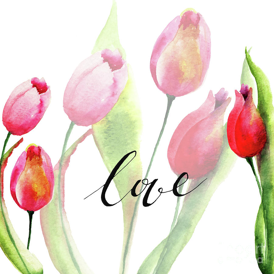 Watercolor illustration of Tulips flowers Painting by Regina Jershova
