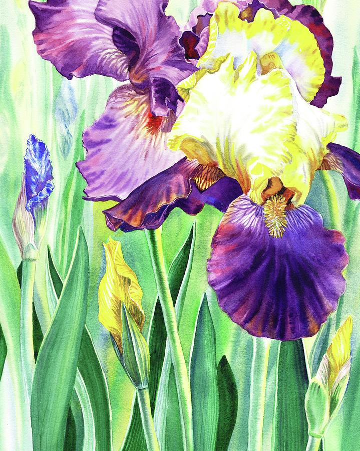 Watercolor Iris Flowers Painting by Irina Sztukowski