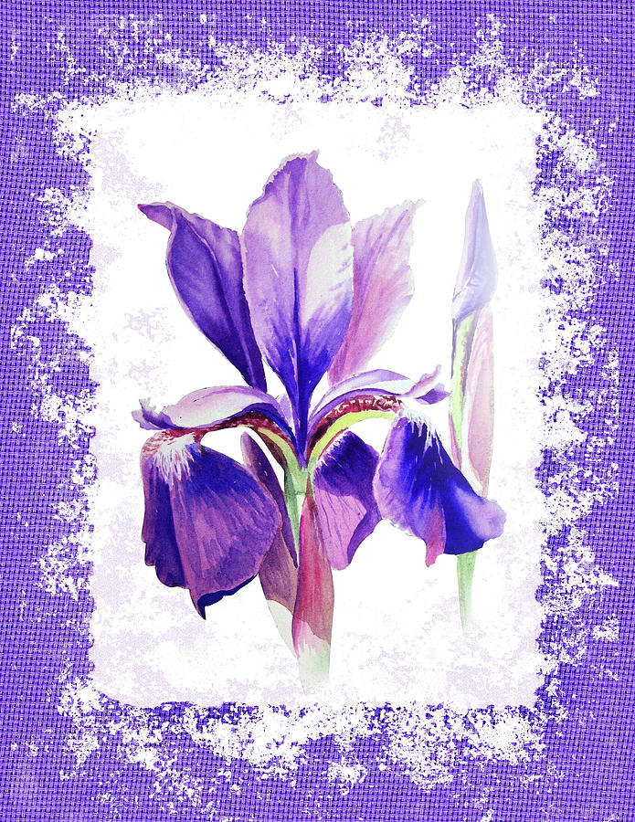 Watercolor Iris Painting Painting by Irina Sztukowski