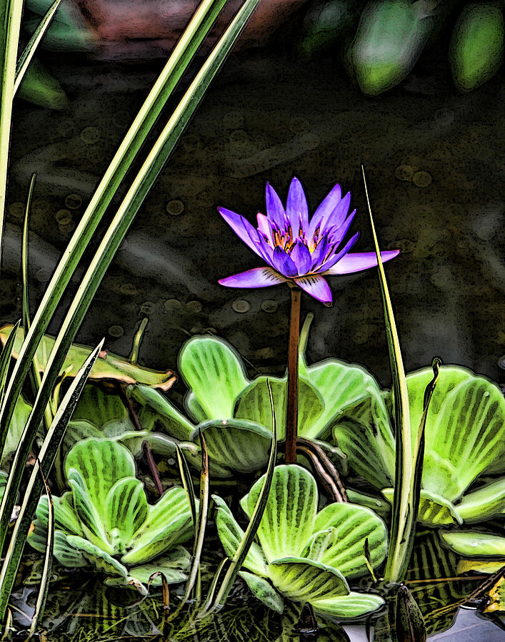 Watercolor Lily Photograph by Shari Jardina