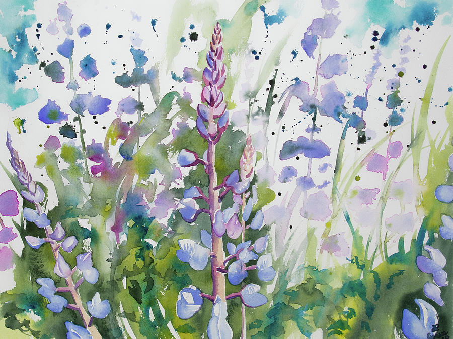 Watercolor - Lupine Wildflowers Painting by Cascade Colors