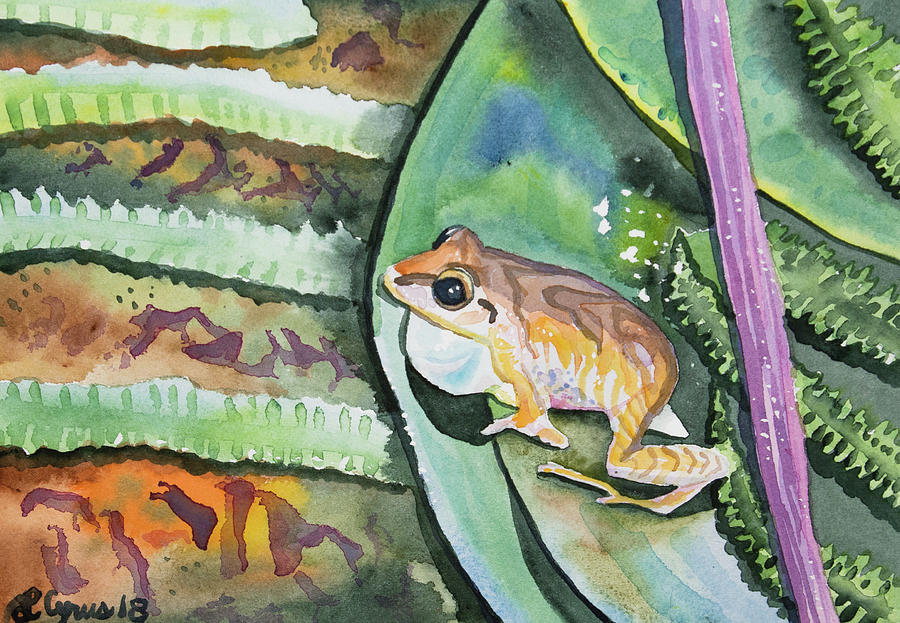 Watercolor - Maquipucuna Tree Frog 2 Painting by Cascade Colors
