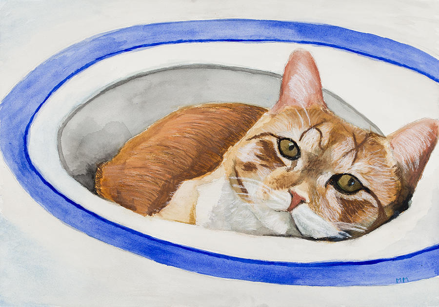 Cat Painting - Cat In Sink by Marcella Morse