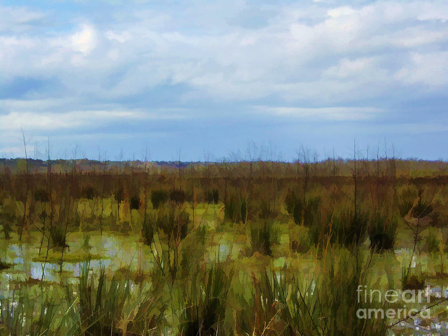 Watercolor Marsh Photograph by D Hackett - Fine Art America