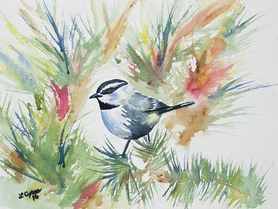 Watercolor - Mountain Chickadee and Pine Painting by Cascade Colors