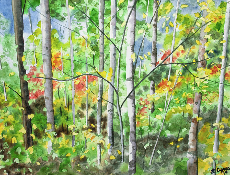 Watercolor - Northern Forest Painting