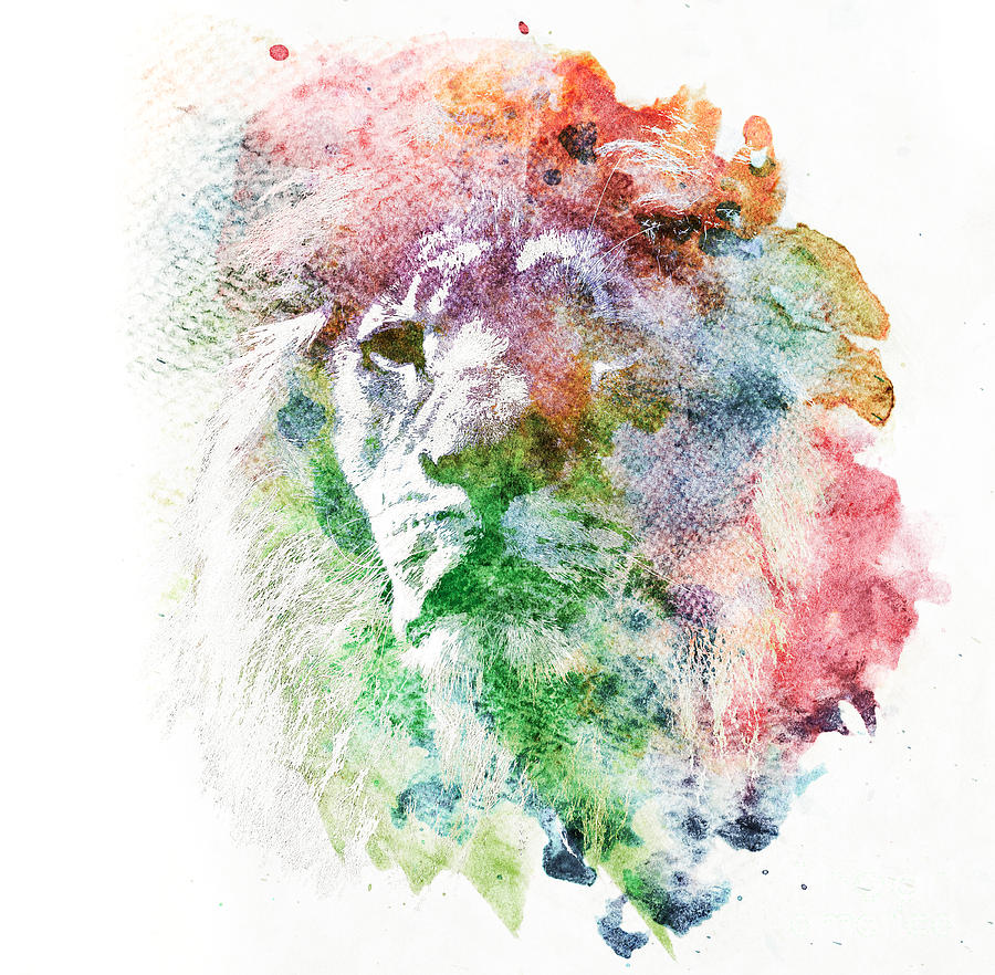 Watercolor painting of lion. Abstract, colorful art Photograph by Michal Bednarek