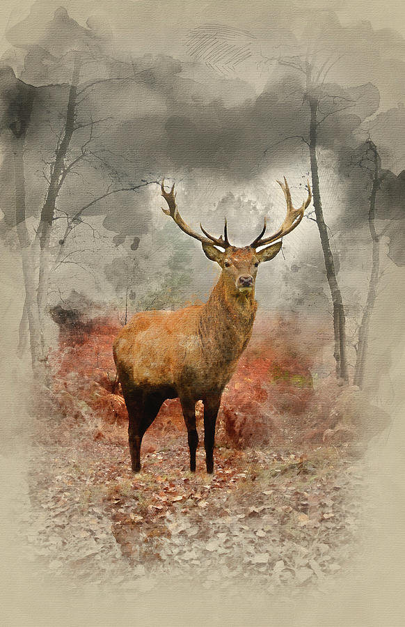 Limited Print of MISTY DEER STAG watercolour by HELEN APRIL ROSE   399