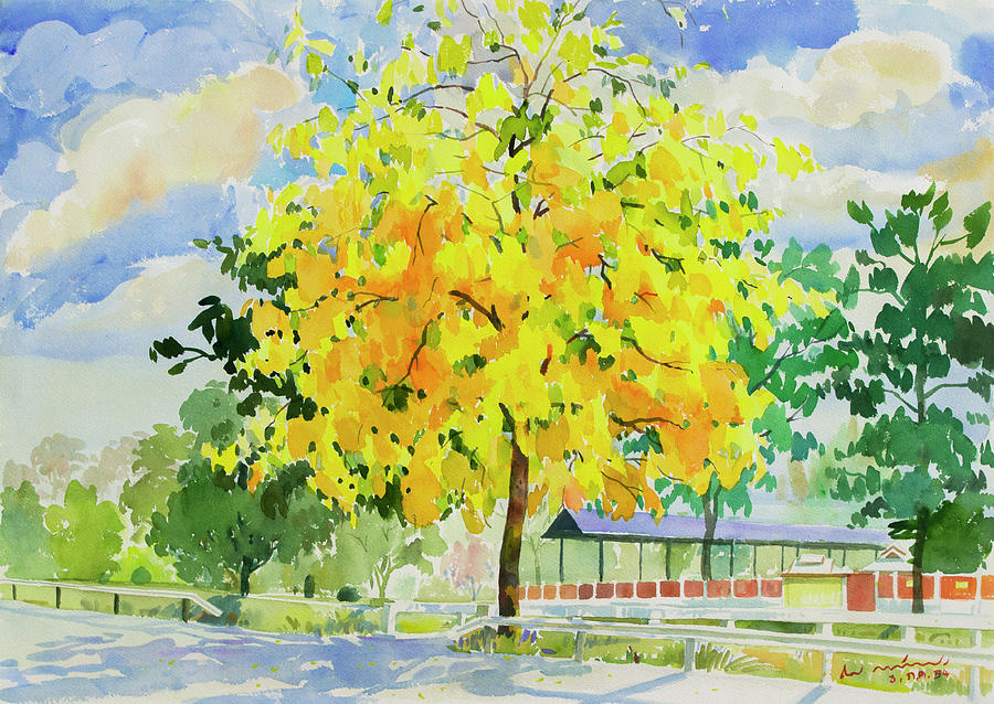  Zhehao Yellow Painting Sponge, 3 Inch Watercolor