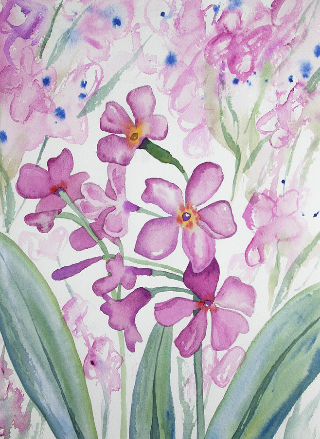 Watercolor - Parrys Primrose Flowers Painting by Cascade Colors