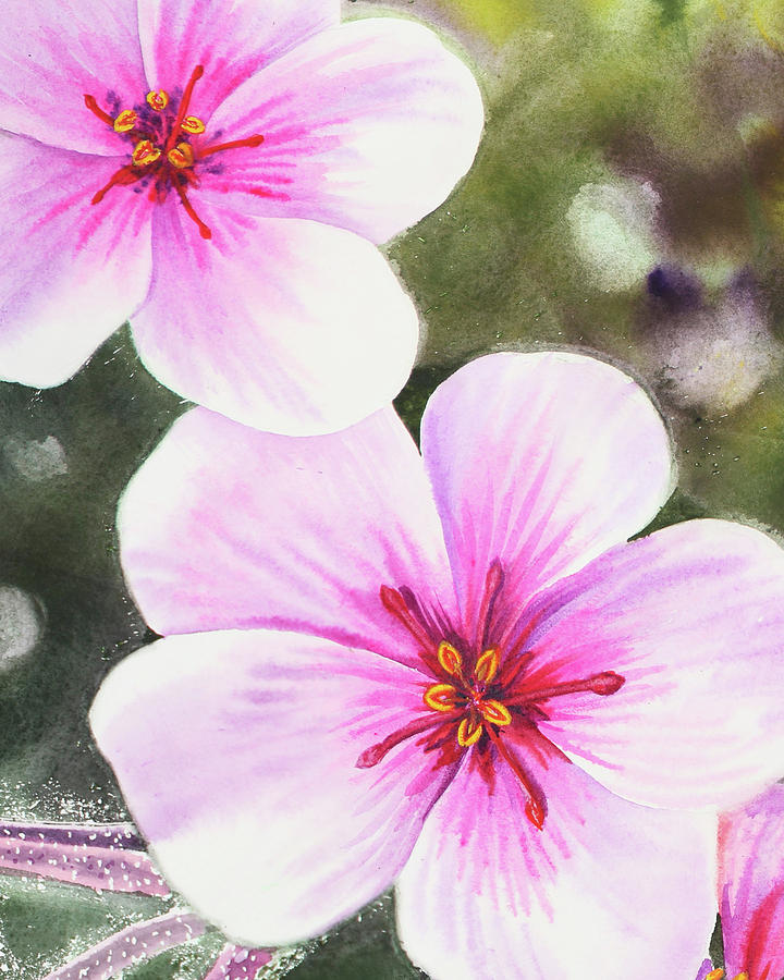 Watercolor Pink And Purple Flowers Painting