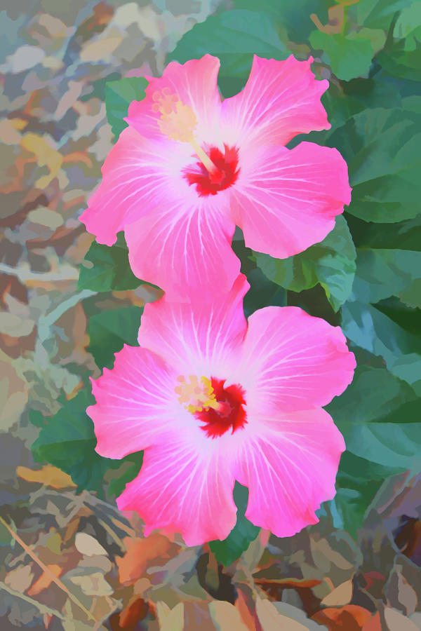 Watercolor Pink Hibiscus Blooms Vertical Photograph by Aimee L Maher ALM GALLERY