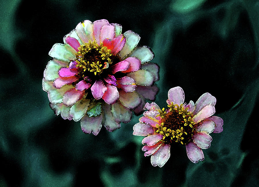 Watercolor Pink Zinnias and Smoke 2227 W_2 Photograph by Steven Ward