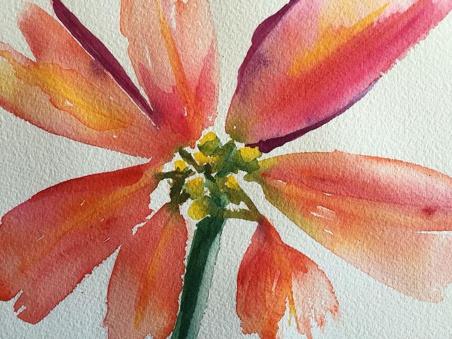 Watercolor Poinsettia  Painting by Bonny Butler