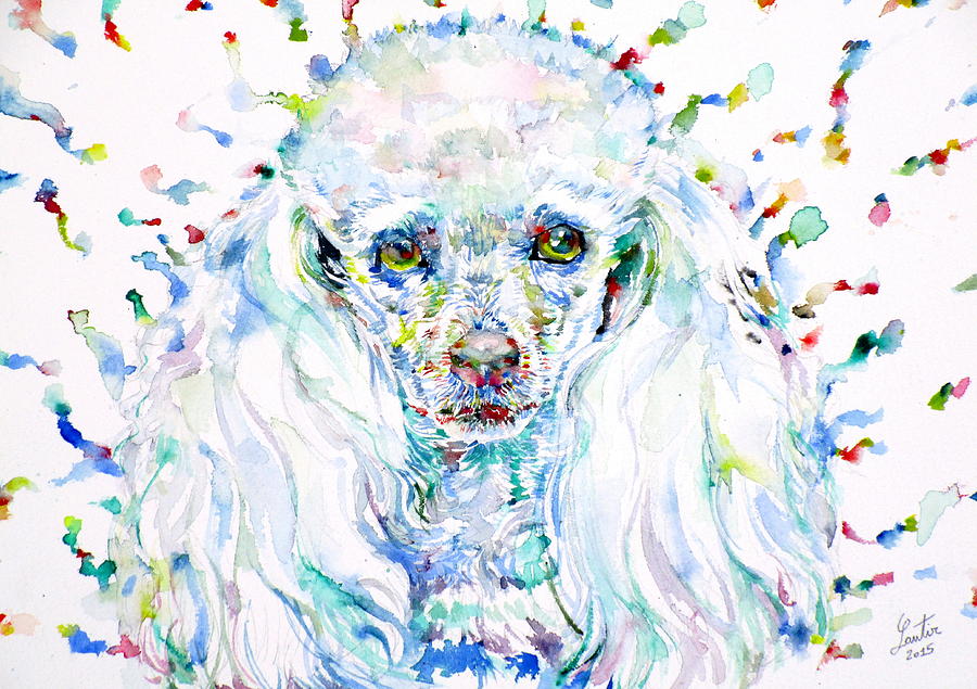 Watercolor Poodle Painting by Fabrizio Cassetta