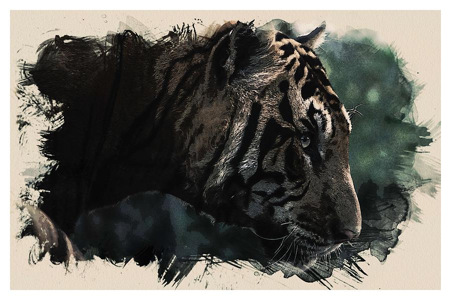 Watercolor Portrait of Bengal Tiger Painting by Celestial Images