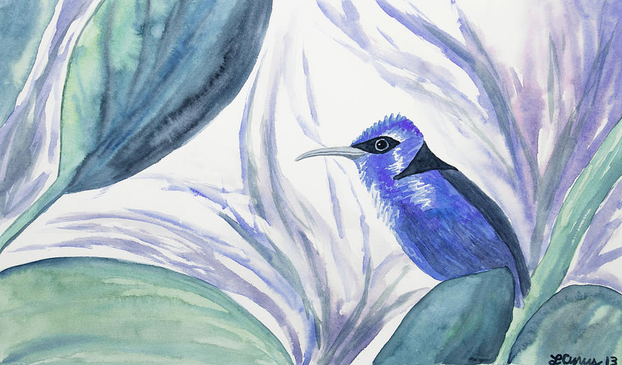 Watercolor - Red-legged Honeycreeper Painting by Cascade Colors