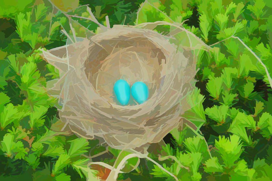 Watercolor Robins Nest Photograph by Aimee L Maher ALM GALLERY